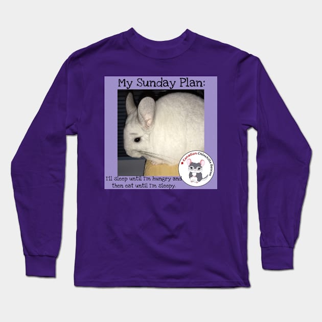 Chinchilla inspirational thoughts Long Sleeve T-Shirt by canchinrescue